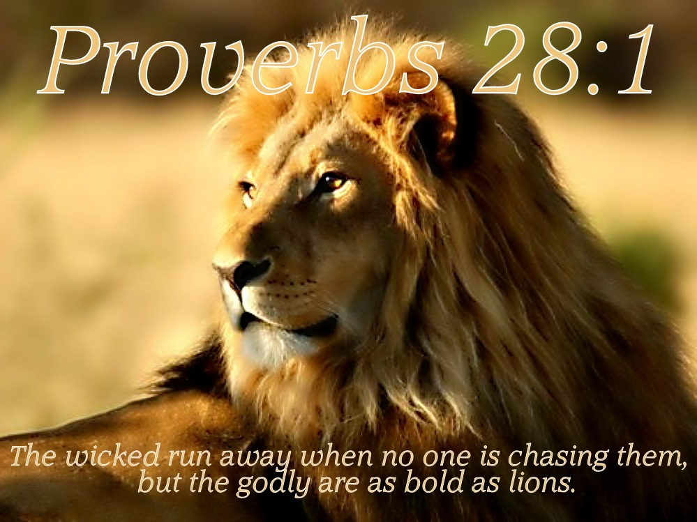 Revealing the truth about Proverbs 28:1