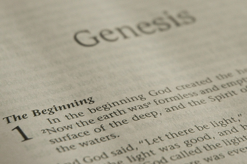 Revealing the truth about Genesis 1 – 50 by Denise N. Fyffe