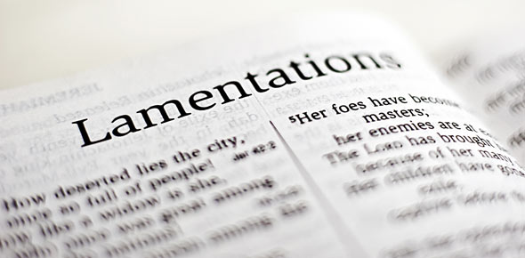 Revealing The Truth about The Book of Lamentations by Denise N. Fyffe
